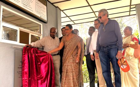 ஹோர்ட்டன் சமவெளி பகுதியில் வனாந்தரச் செய்கையை ஊக்குவிக்கும் டோக்கியோ சீமெந்து!