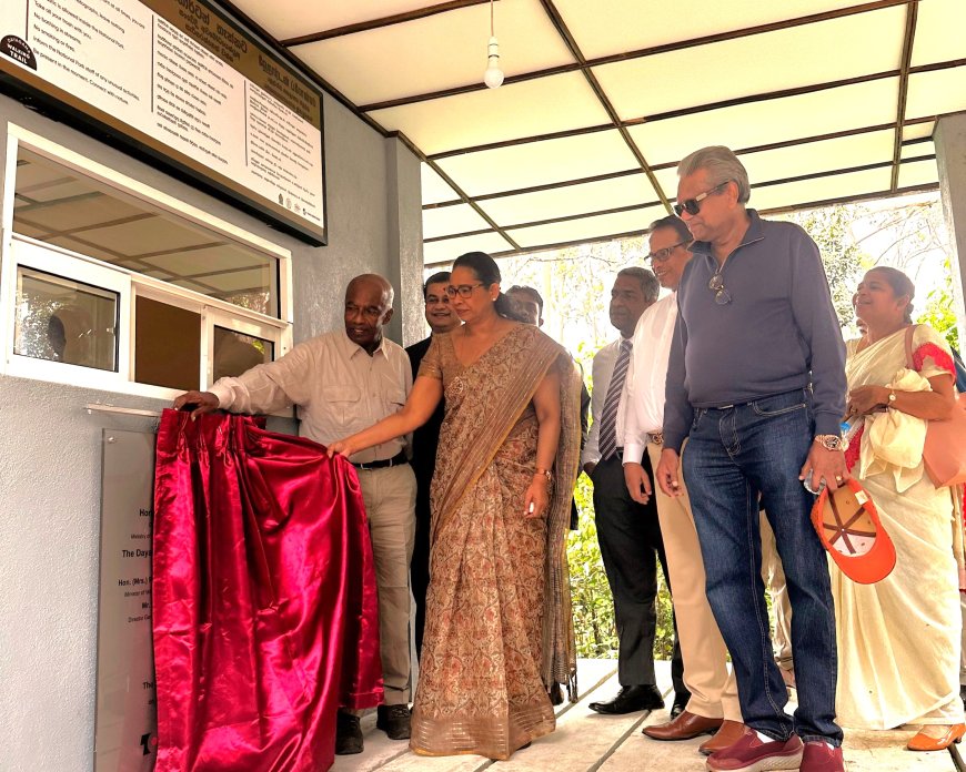 ஹோர்ட்டன் சமவெளி பகுதியில் வனாந்தரச் செய்கையை ஊக்குவிக்கும் டோக்கியோ சீமெந்து!