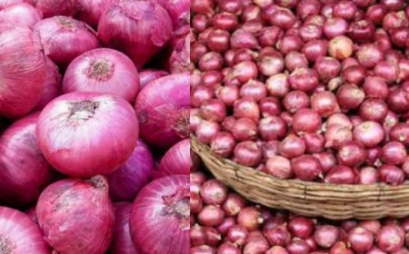 இலங்கையில் வெங்காயம் விலை 600 ரூபாவை தாண்டியது