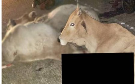 பேருந்து விபத்து: ஸ்தலத்திலேயே பலியான 8 உயிர்கள் 