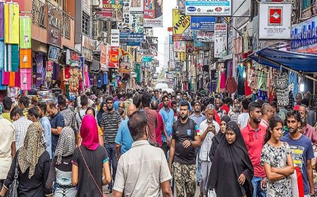 இலங்கையில் குடும்பங்களின் மாத வருமானம் வீழ்ச்சி ; பொருளாதார நெருக்கடியே காரணம்