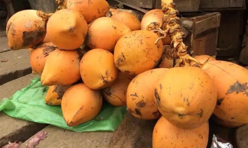 இளநீர் ஏற்றுமதி அதிகரிப்பு