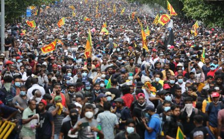 இலங்கை மக்கள் தொகையில் கணிசமான வீழ்ச்சி ஏற்படும்