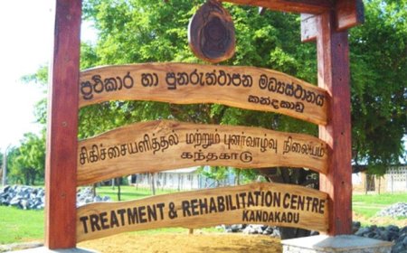 கந்தகாட்டில் தப்பிச் சென்ற கைதிகளில் சிலர் சரண்