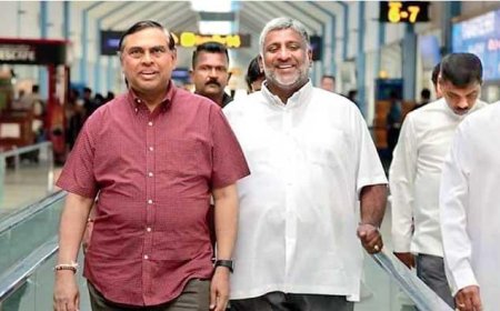 அமெரிக்காவிலிருந்து அவசரமாக இலங்கை வரும் பஸில்!