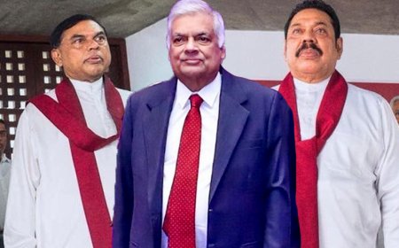 ரணிலுடன் மகிந்த, பசில் பேசியது என்ன?