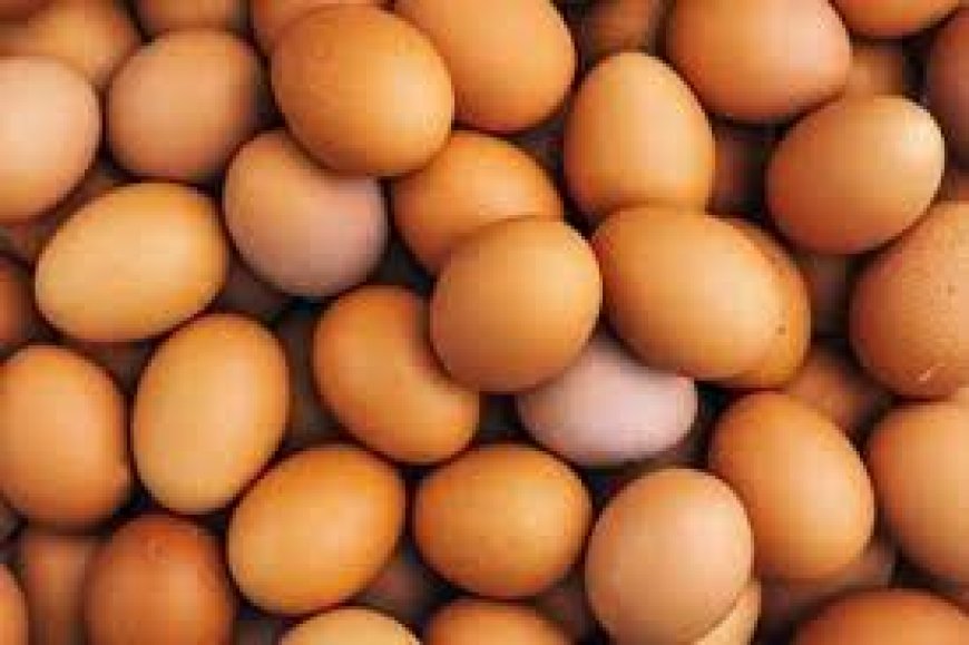 முட்டைக்கான  வெட் வரி அதிகரிப்பு?