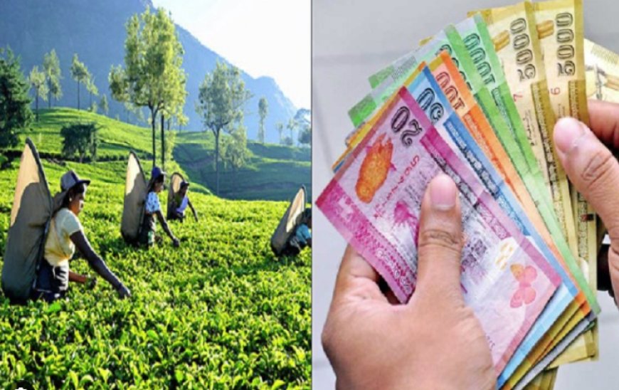 1,700 ரூபாய் சம்பள அதிகரிப்பு வர்த்தமானி ரத்து!