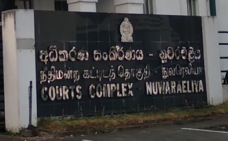 லிந்துலையில் 10 வயது சிறுவனுக்கு சித்திரவதை : சிறிய தாய்க்கு விளக்கமறியல் 
