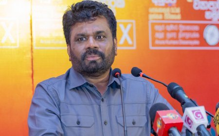 IT மூலம் 5 பில்லியன் டொலரை ஈட்டும் அனுர திட்டம்
