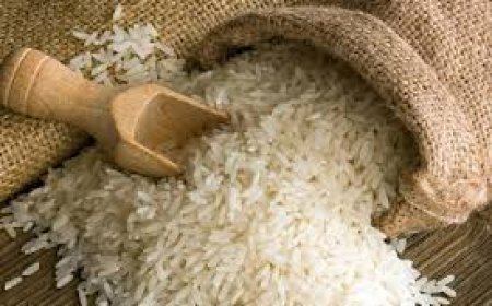 வெள்ளை பச்சை அரிசியை நிராகரிக்கும் நுகர்வோர்!