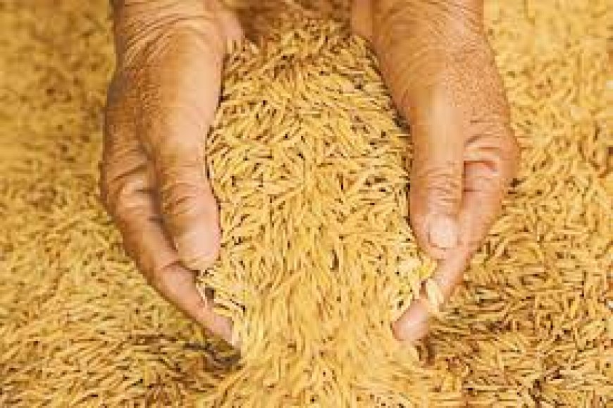 நெல்லுக்கான புதிய உத்தரவாத விலை !