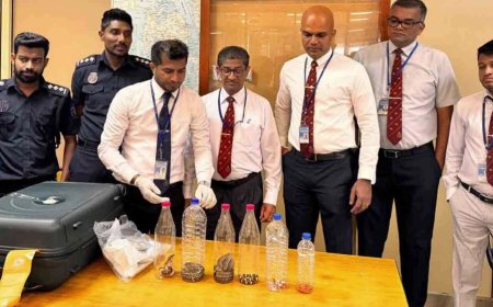 சட்டவிரோத பாம்புகளுடன் சிக்கிய பெண்