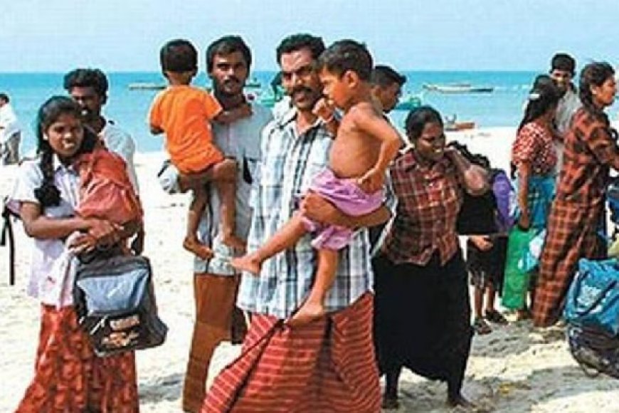 இலங்கைத் தமிழர் சட்டவிரோத குடியேறிகள் அல்ல; இந்தியா அறிவிப்பு