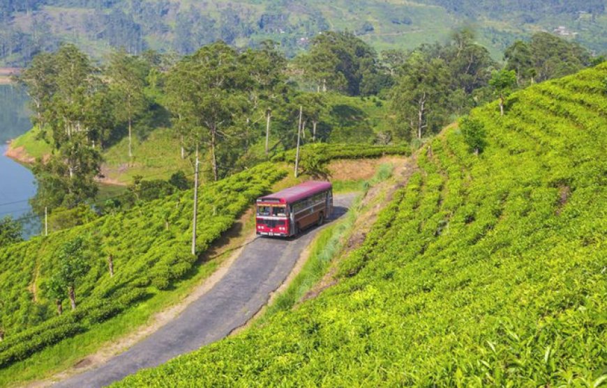மஸ்கெலியா - கொழும்பு புதிய பஸ் சேவை மீண்டும் ஆரம்பம்